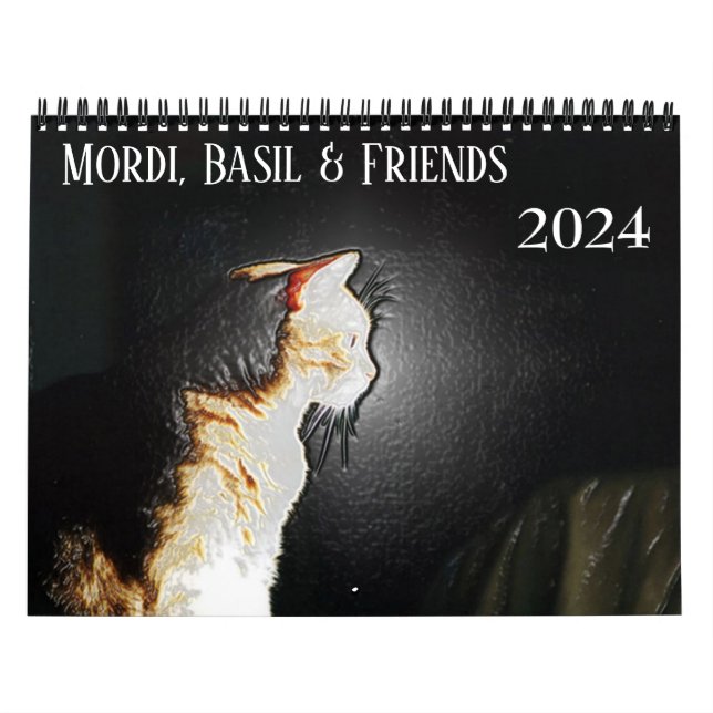 Mordi, Basil & Friends Cat Calendar 2024 (Cover)