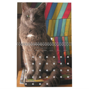 Mordi, Basil & Friends Cat Calendar 2025