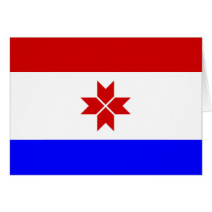 Mordovia Flag Cards