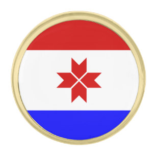 Mordovia Flag Gold Finish Lapel Pin
