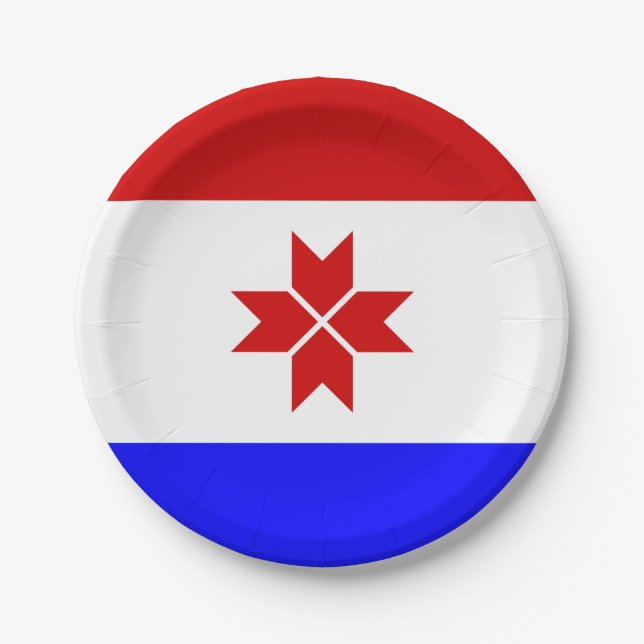 Mordovia Flag Paper Plates (Front)
