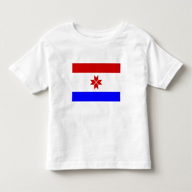 Mordovia Flag Toddler T-shirt (Front)