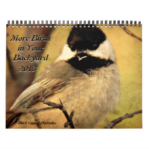 More Birds in Your Backyard Calendar 2013