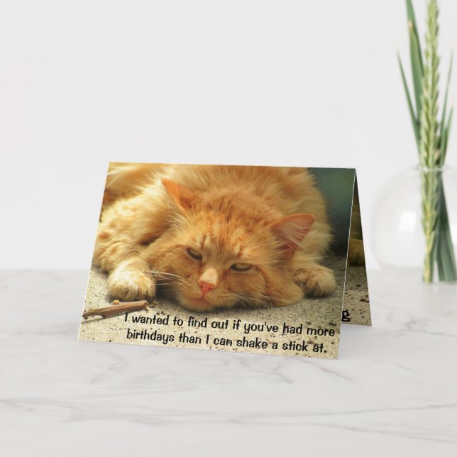 More Birthdays Than You Can Shake a Stick At Card (Front)