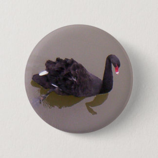 More Black Swan Pinback Button