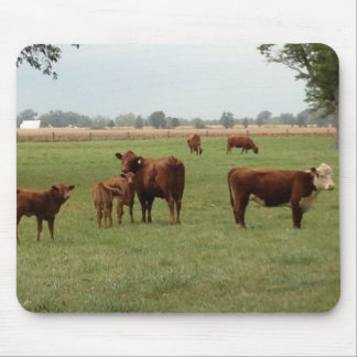 more brown cows mouse pad