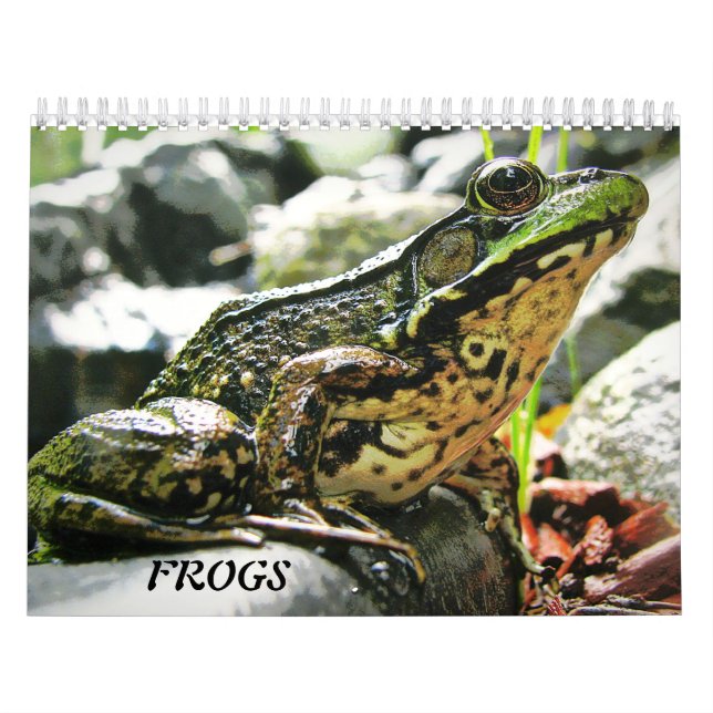 More FROGS! Calendar (Cover)