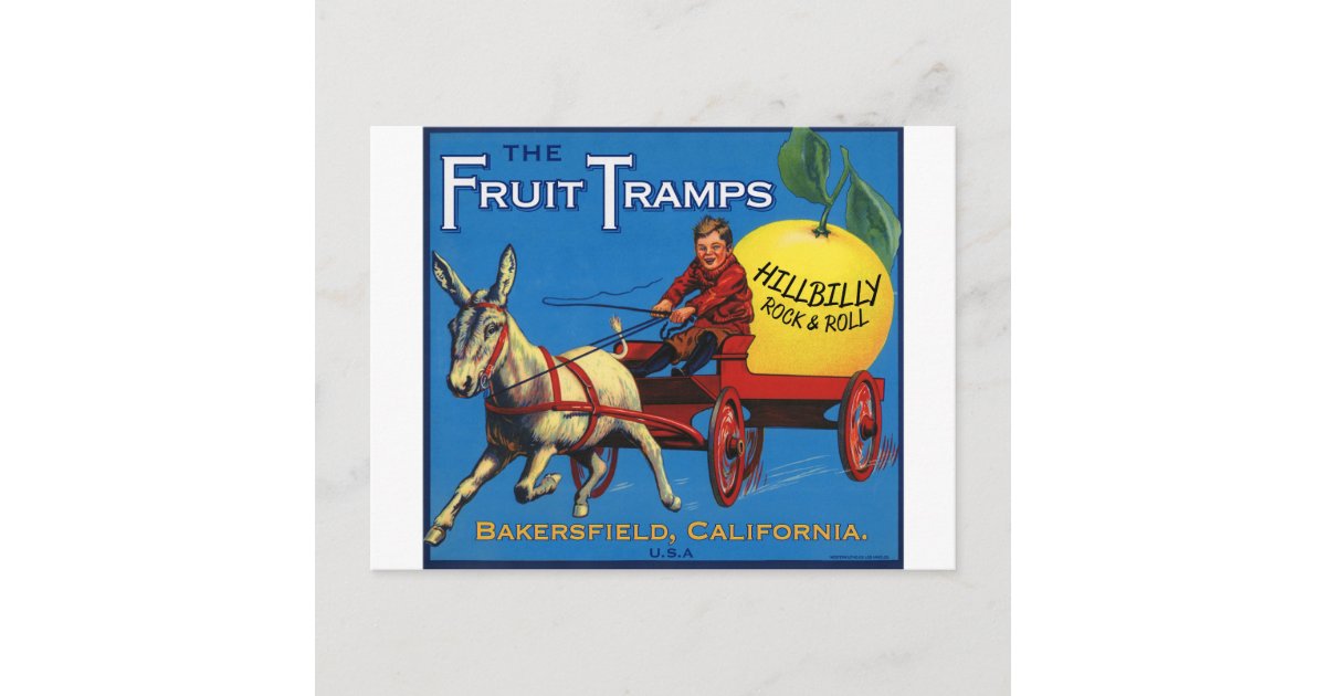 More Fruit Tramp Fun Postcard Zazzle
