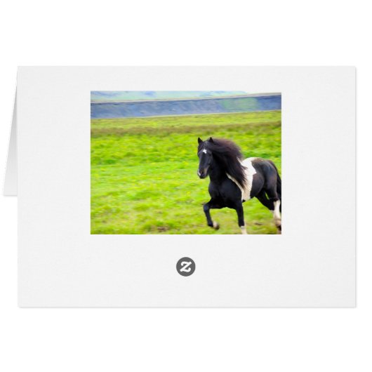 More Horses Galore (Horizontal) (Back Horizontal)