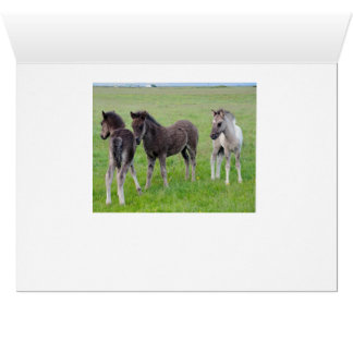 More Horses Galore (Horizontal) Cards
