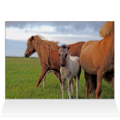 More Horses Galore (Horizontal) Cards (Inside Horizontal (Top))