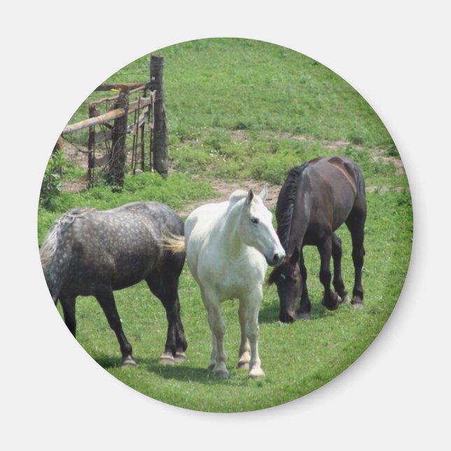 More Horses! Magnet (Front)