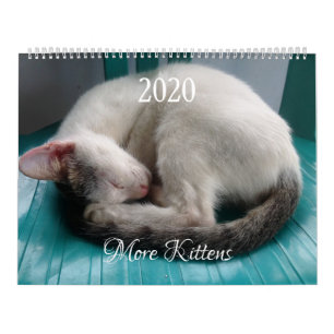 More Kittens Wall Calendar - HAMbyWG