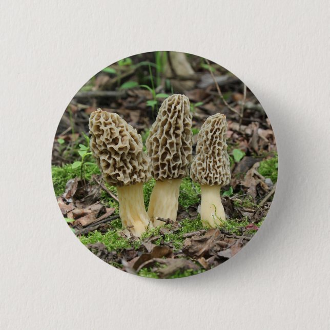 More Morels Button (Front)