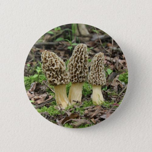 More Morels Button