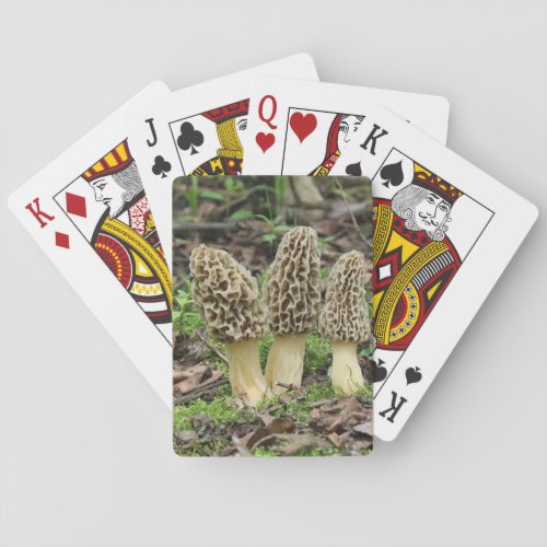 More Morels Poker Cards