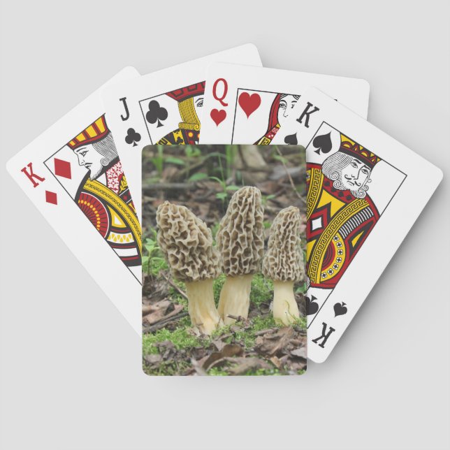 More Morels Poker Cards (Back)