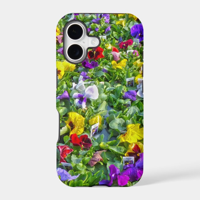 More Pansies Iphone Case (Back)