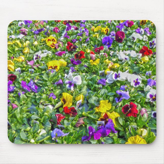 More Pansies Mouse Pad (Front)