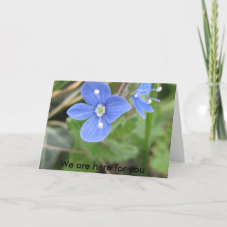 more spring flowers 10 001, We are here for you Card