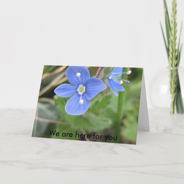 more spring flowers 10 001, We are here for you Card (Front)