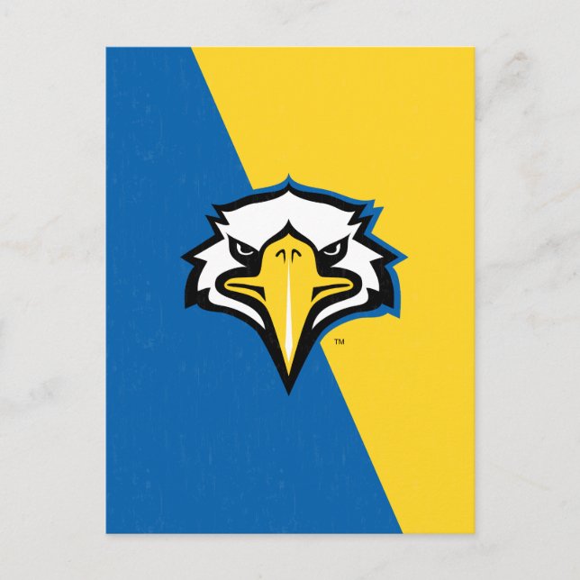 Morehead State Eagles Color Block Distressed Invitation Postcard (Front)