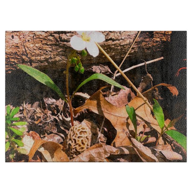 Morel Cutting Board (Front)