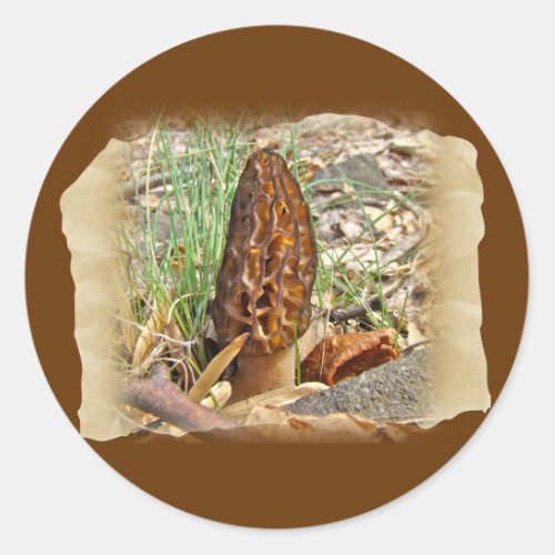 Morel Mushroom Classic Round Sticker