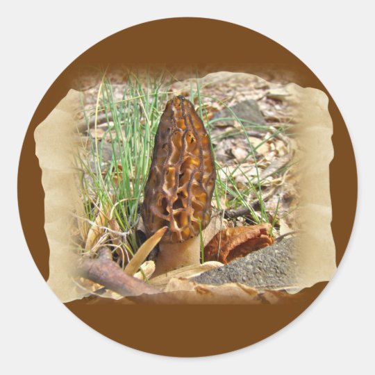 Morel Mushroom Classic Round Sticker