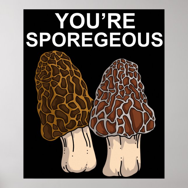 Morel Mushroom Gift Mens Morel Mushroom Hunter Poster (Front)