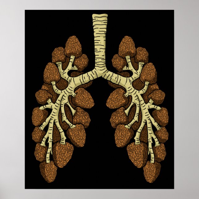 Morel Mushroom Gift Mens Morel Mushroom Hunter Poster (Front)