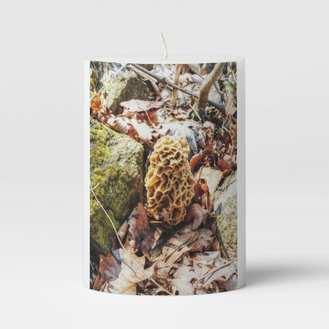 Morel Mushroom in the Wild Pillar Candle (Front)