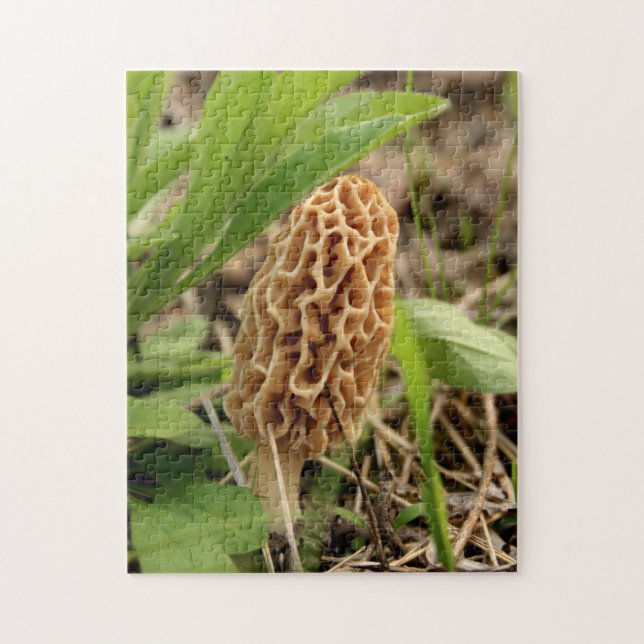 Morel Mushroom Jigsaw Puzzle (Vertical)