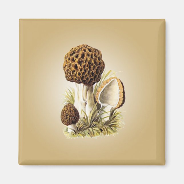 Morel Mushroom Magnet (Front)