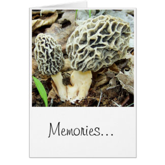 Morel Mushroom Memories Cards