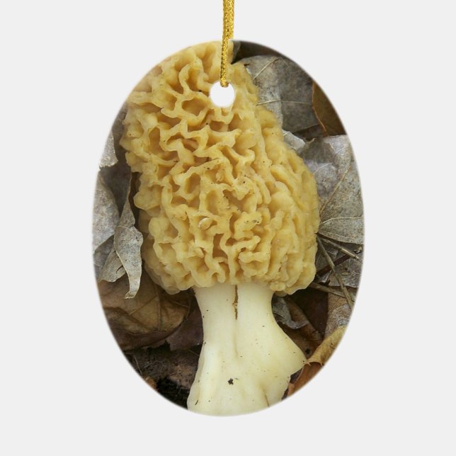 Morel Mushroom Ornament (Front)
