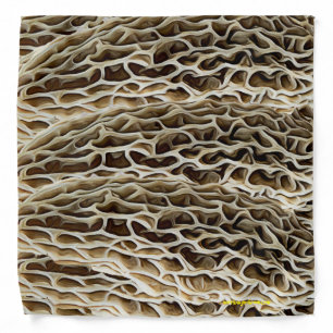 Morel Mushroom pattern Bandana