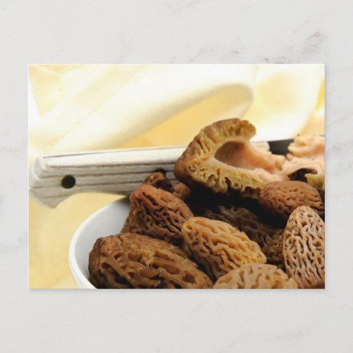 Morel Mushroom Postcard