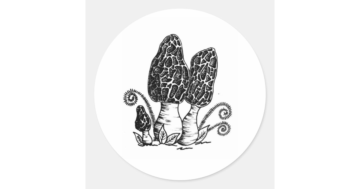Morel Mushroom Stickers Zazzle