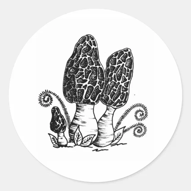 Morel Mushroom Stickers Zazzle