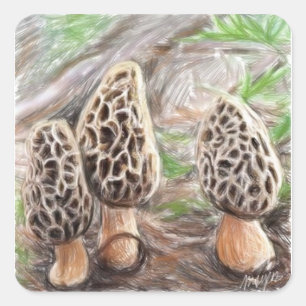Morel Mushroom Stickers