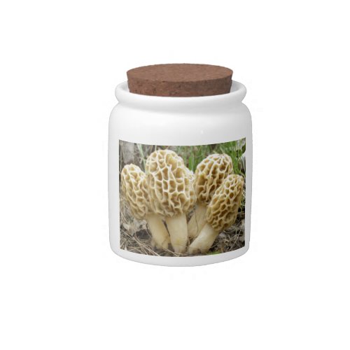 Morel mushrooms candy jar