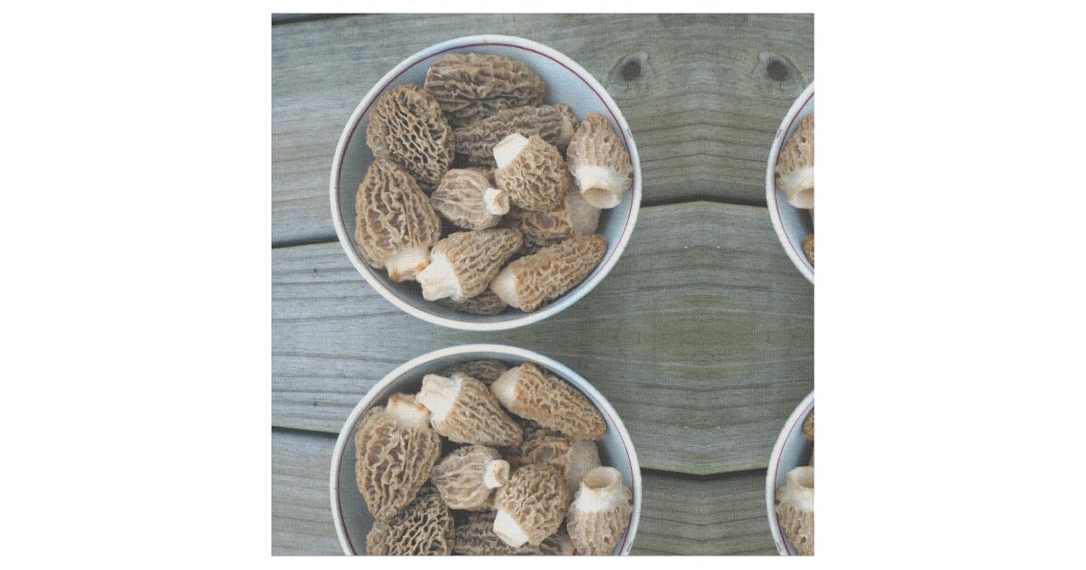 Morel Mushrooms Fabric Zazzle