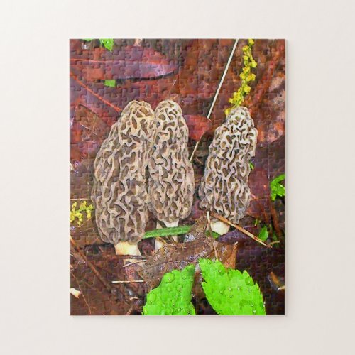 Morel Mushrooms Jigsaw Puzzle