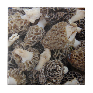 Morel Mushrooms Tile