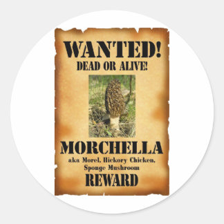 Morel - Wanted Poster Classic Round Sticker