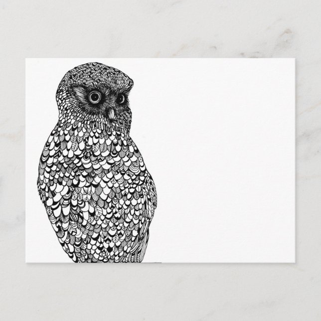 Morepork Postcard (Front)