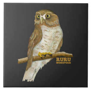 Morepork Ruru New Zeland Bird Ceramic Tile