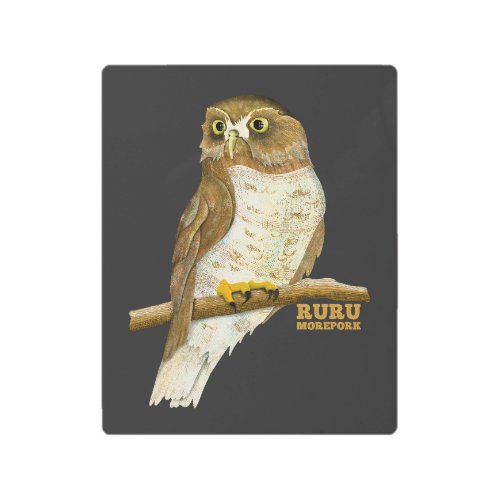 Morepork Ruru New Zeland Bird Metal Print