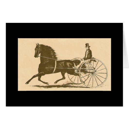 Morgan Americana (Front Horizontal)